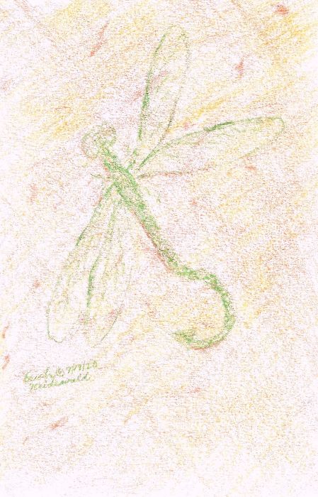 A Dragonfly in Amber by Erich Heidewald